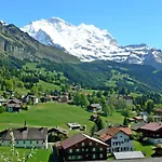 Apartment Silberhorn Apt- V By Interhome