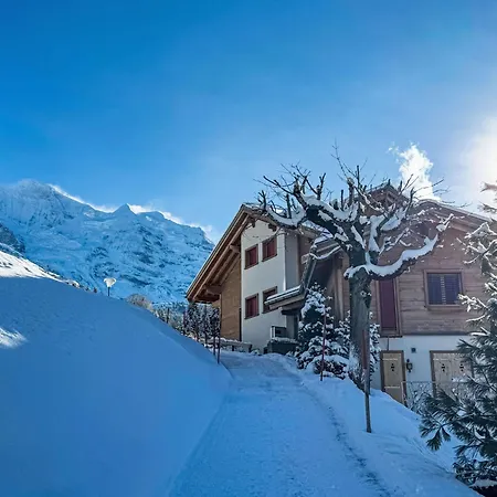 Appartement Silberhorn Apt- V By Interhome