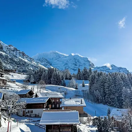 Appartamento Silberhorn Apt- V By Interhome *
